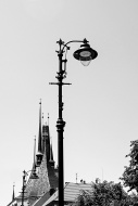 140A7063 (babyvrba)