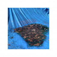 https://1334180667.rsc.cdn77.org/data/540/thumbs/TJWG1789_1_.JPG https://1334180667.rsc.cdn77.org/data/540/thumbs/TJWG1789_1_.JPG